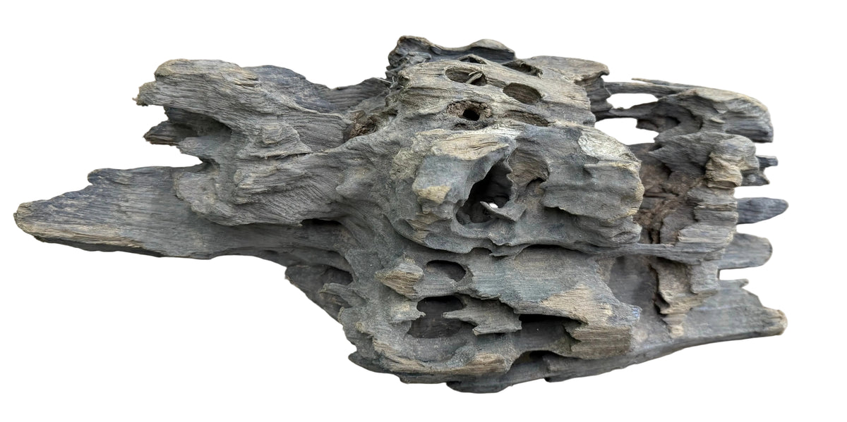 W.Y.S.I.W.Y.G.- 214  - Texture / Shrimp Driftwood | Substrates & Hardscape | Largest Tropical Fish Selection at Your Local Fish Store
