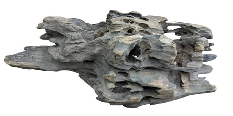 W.Y.S.I.W.Y.G.- 214  - Texture / Shrimp Driftwood | Substrates & Hardscape | Largest Tropical Fish Selection at Your Local Fish Store