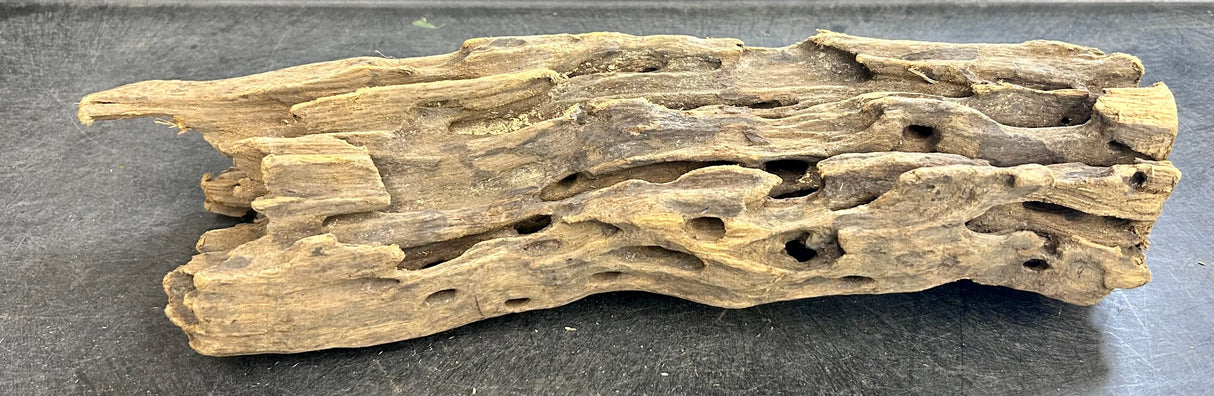 W.Y.S.I.W.Y.G.- 212 - Texture / Shrimp Driftwood
