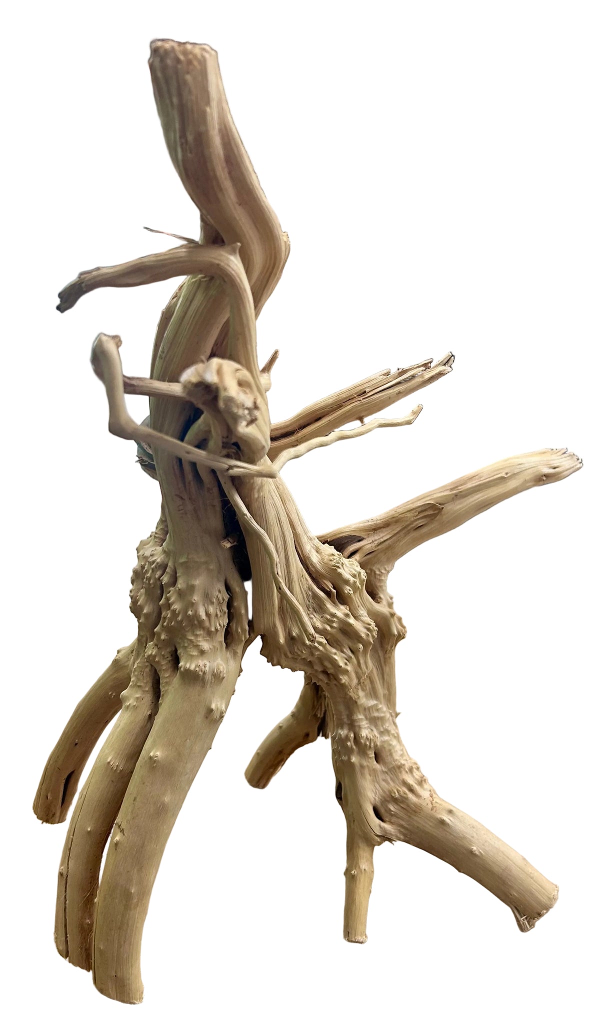 Piece Spiderwood