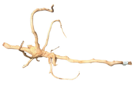 W.Y.S.I.W.Y.G.- 604 - Piece of Red Moor Spiderwood | Substrates & Hardscape | Largest Tropical Fish Selection at Your Local Fish Store