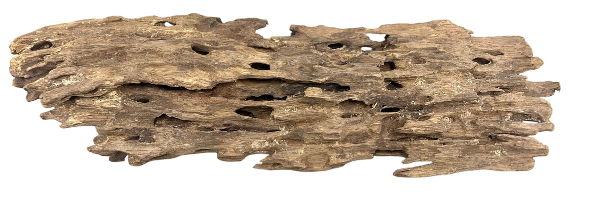 Texture / Shrimp Driftwood