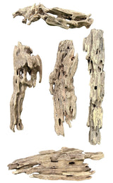 Texture / Shrimp Driftwood