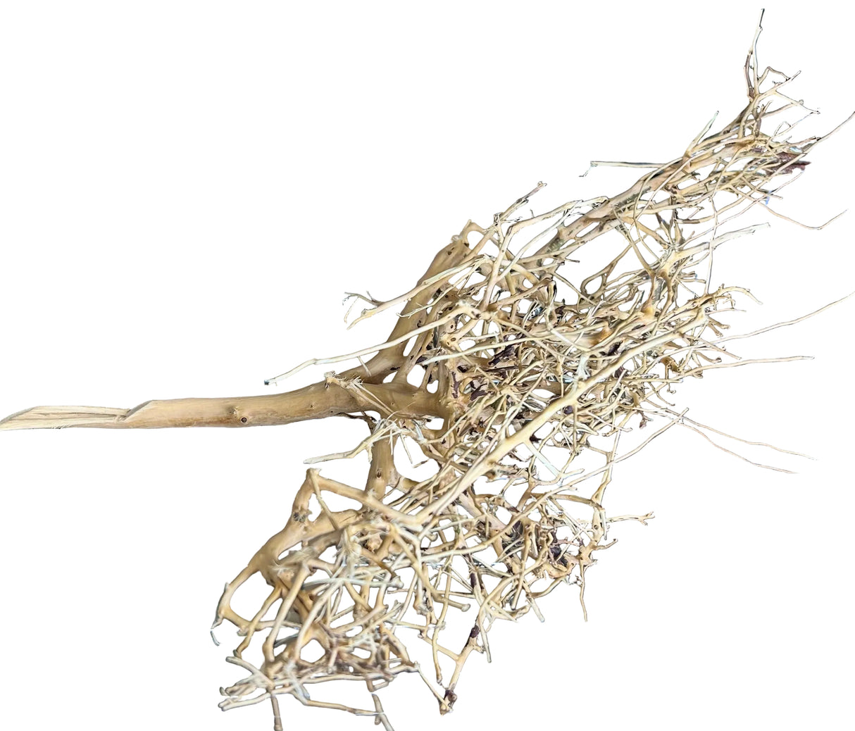 Thailand Branch Wood