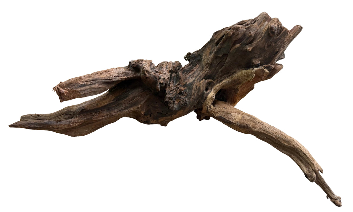 Malaysian Mangrove Wood