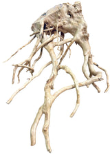 Large Piece of Spiderwood