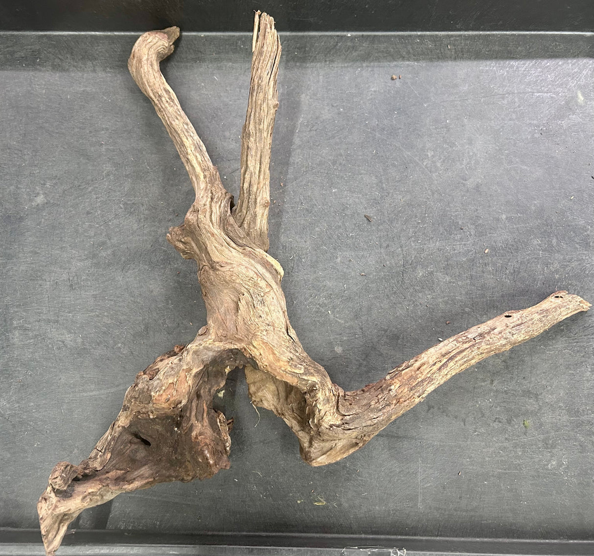 W.Y.S.I.W.Y.G.- 210 - Malaysian Sinking  Driftwood