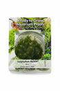 Taxiphyllum barbieri (Java Moss) Tissue Culture 
