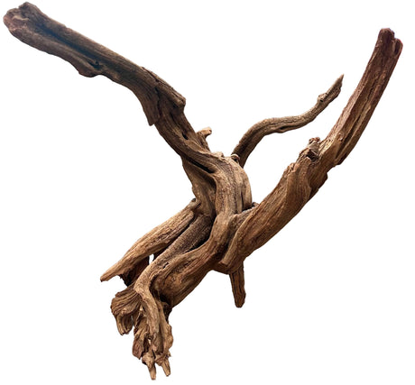  Malaysian Sinking Driftwood