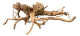 XX Large Spiderwood