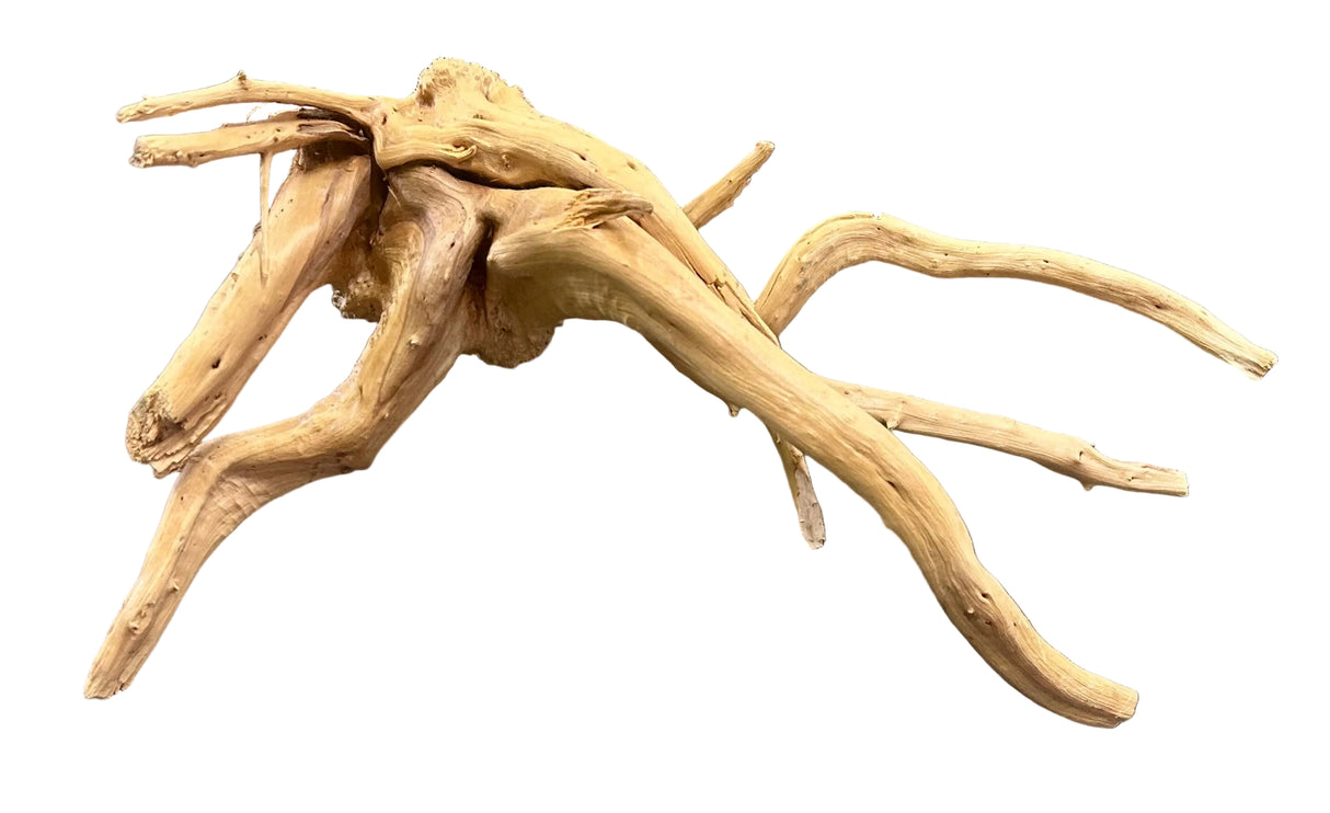 Piece of Spiderwood