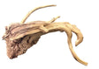 Piece of Spiderwood
