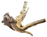 Piece of Spiderwood