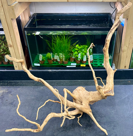 W.Y.S.I.W.Y.G.- 609 - Large Piece of Spiderwood