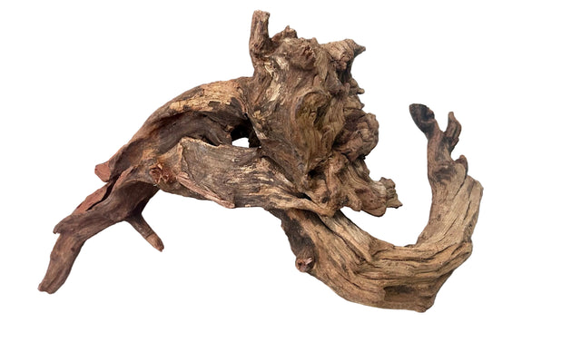 Malaysian Mangrove Sinking Driftwood