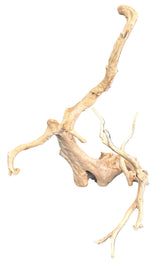 Large Piece of Spiderwood