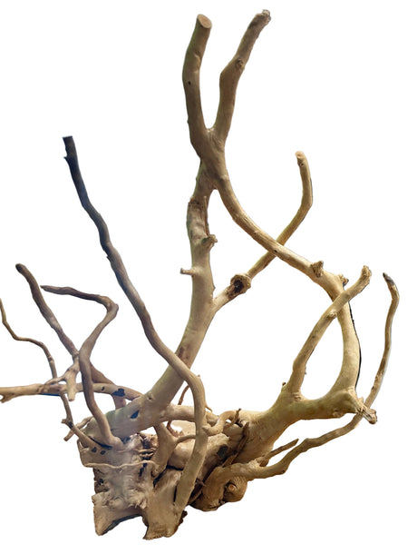 Large Piece of Spiderwood