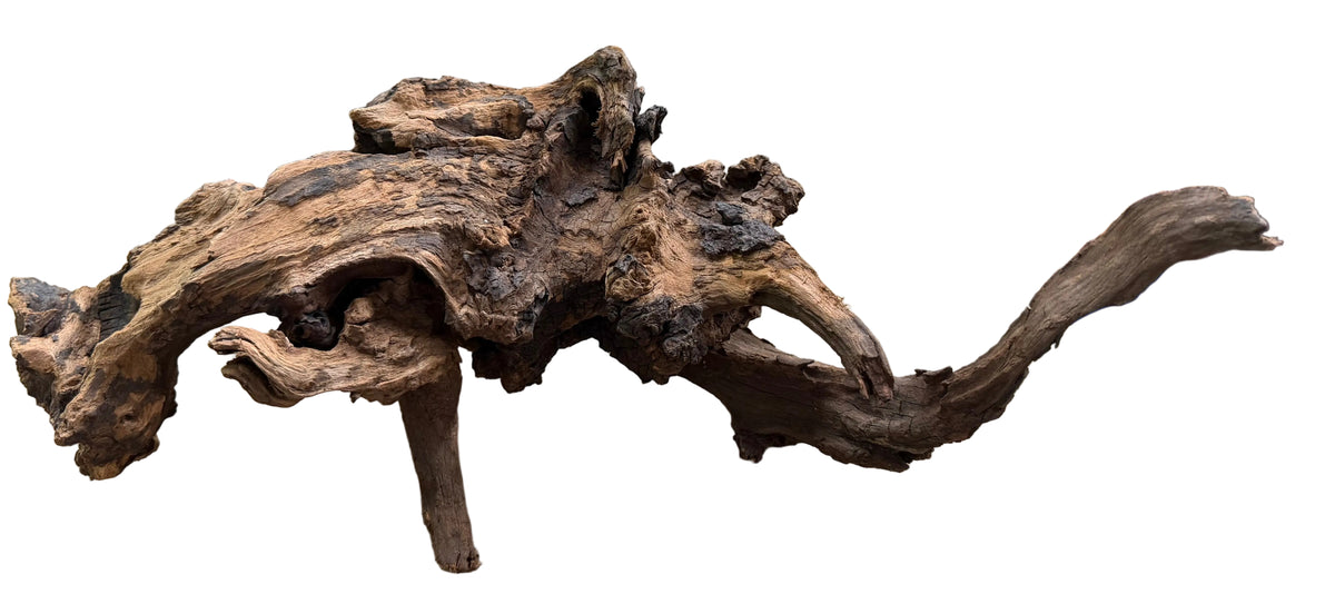  Malaysian Sinking  Driftwood