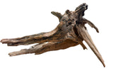 Malaysian Mangrove Sinking Driftwood