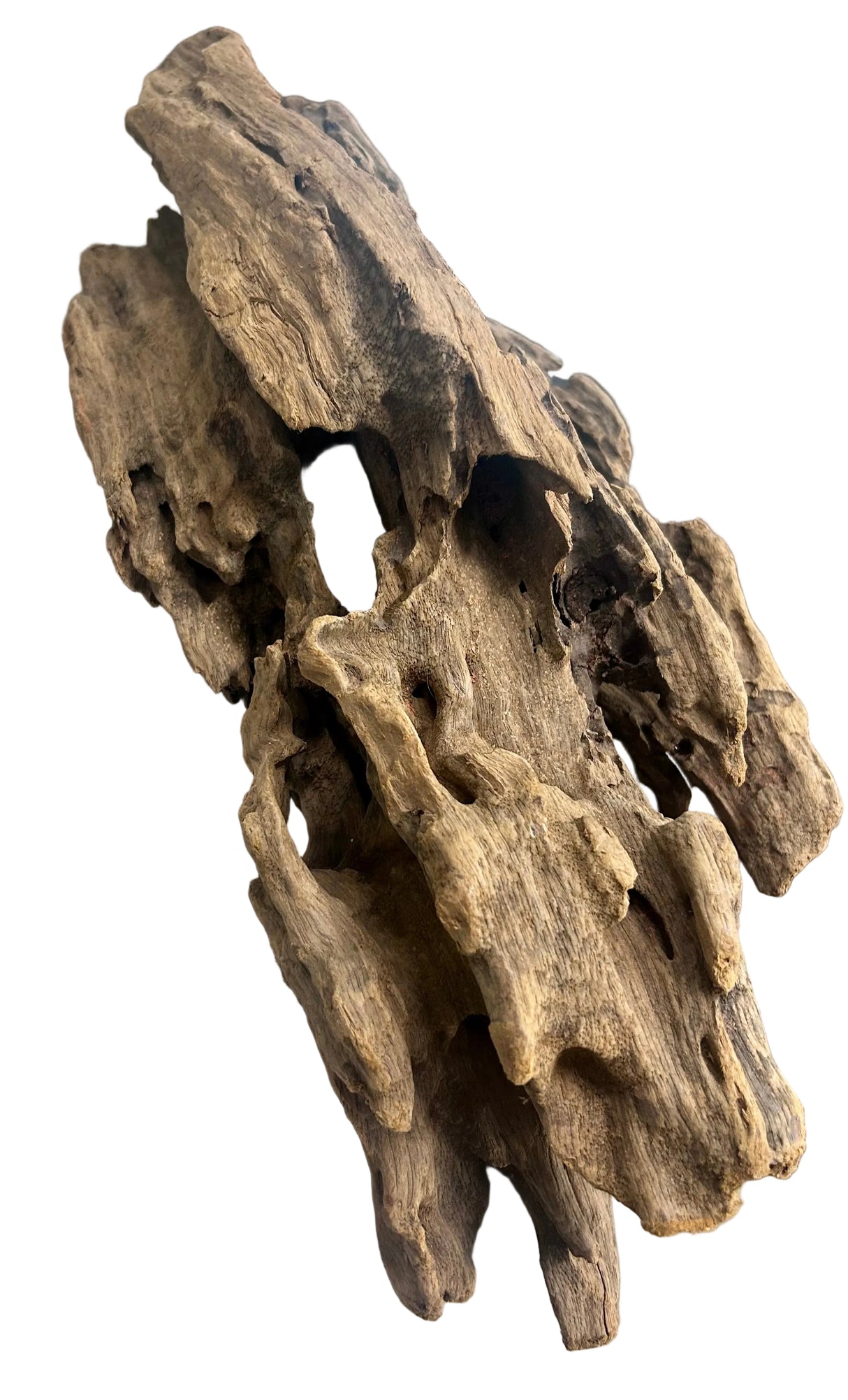 Texture / Shrimp Driftwood