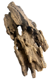 Texture / Shrimp Driftwood