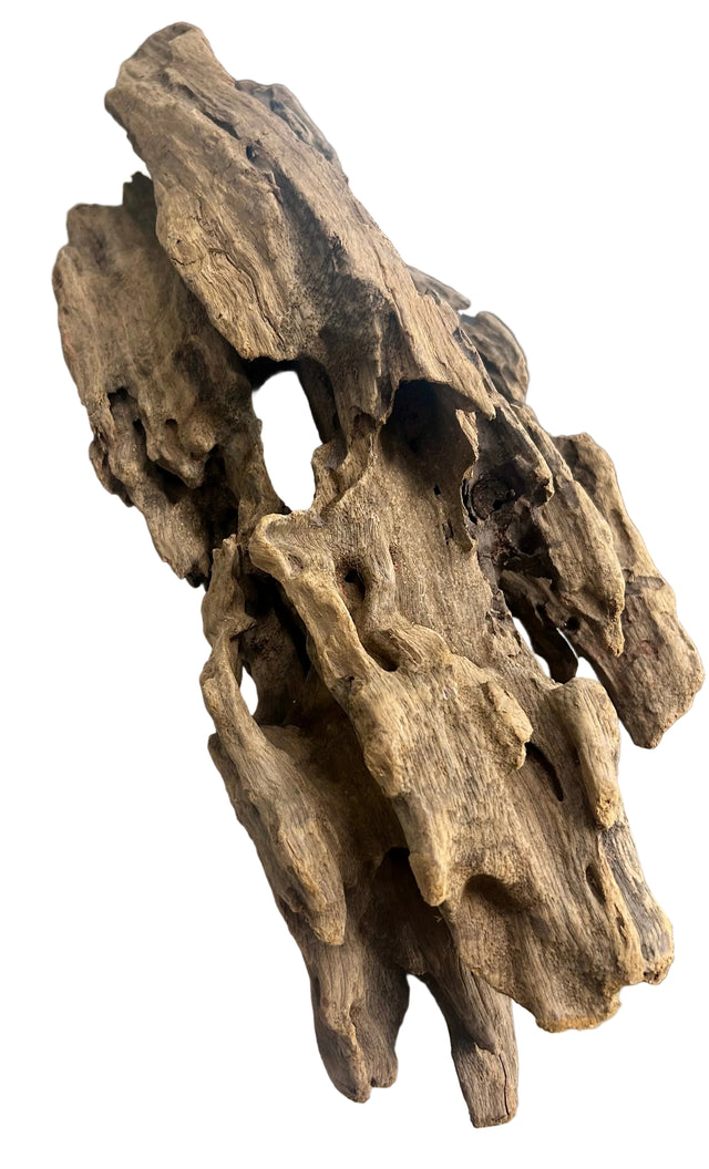 Texture / Shrimp Driftwood