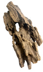 Texture / Shrimp Driftwood