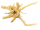 Spiderwood