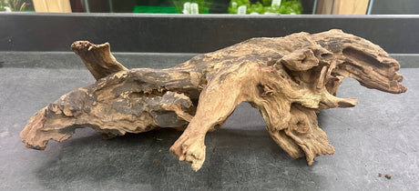 W.Y.S.I.W.Y.G.- 409 - Malaysian Mangrove Wood