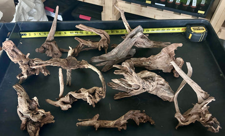 W.Y.S.I.W.Y.G.- 425 - Malaysian Mangrove Wood 12 pieces