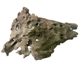  Texture / Shrimp Driftwood
