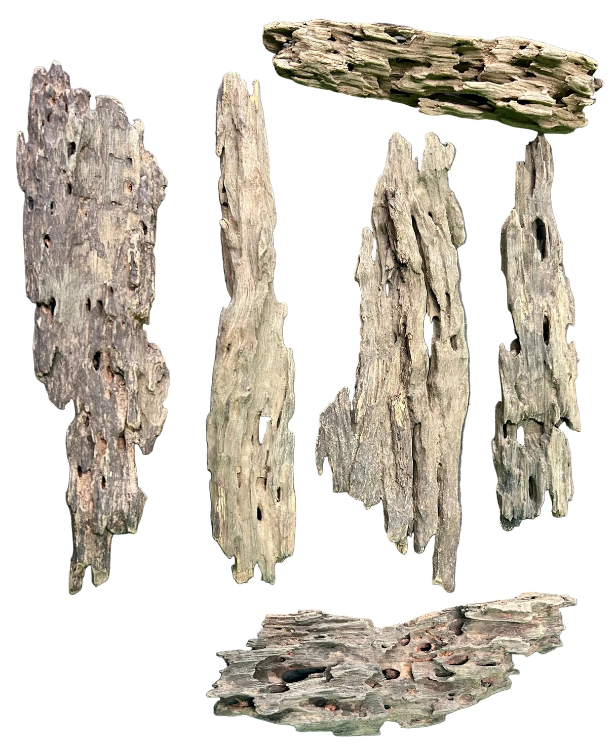 W.Y.S.I.W.Y.G.- 204 - Texture / Shrimp Driftwood (6 pieces) | Substrates & Hardscape | Largest Tropical Fish Selection at Your Local Fish Store