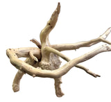 Piece of Spiderwood