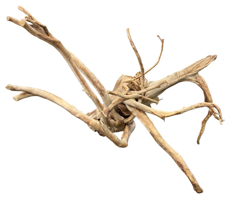 Large Piece of Spiderwood