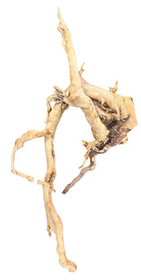  Large Piece of Spiderwood