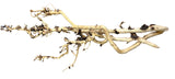 W.Y.S.I.W.Y.G.- 2009 - Thailand Branch Wood | Substrates & Hardscape | Largest Tropical Fish Selection at Your Local Fish Store