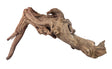 Malaysian Mangrove Sinking Driftwood