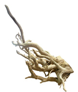 Large Piece of Spiderwood