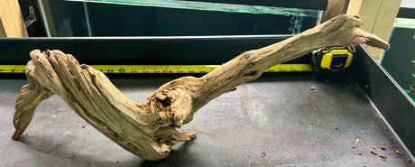 W.Y.S.I.W.Y.G.- 401 - Malaysian Mangrove Wood