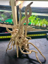 W.Y.S.I.W.Y.G.- 608 -  Large Piece of Spiderwood