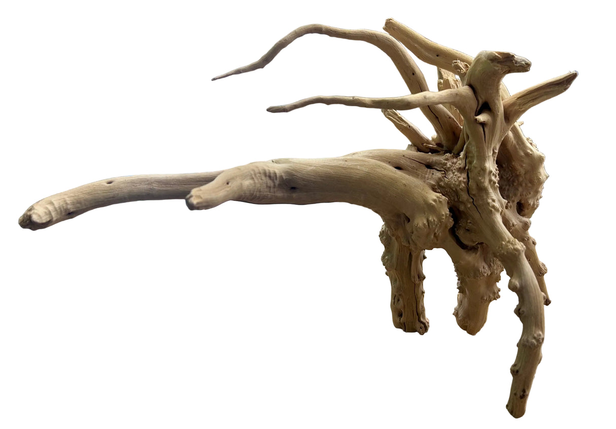 Piece Spiderwood