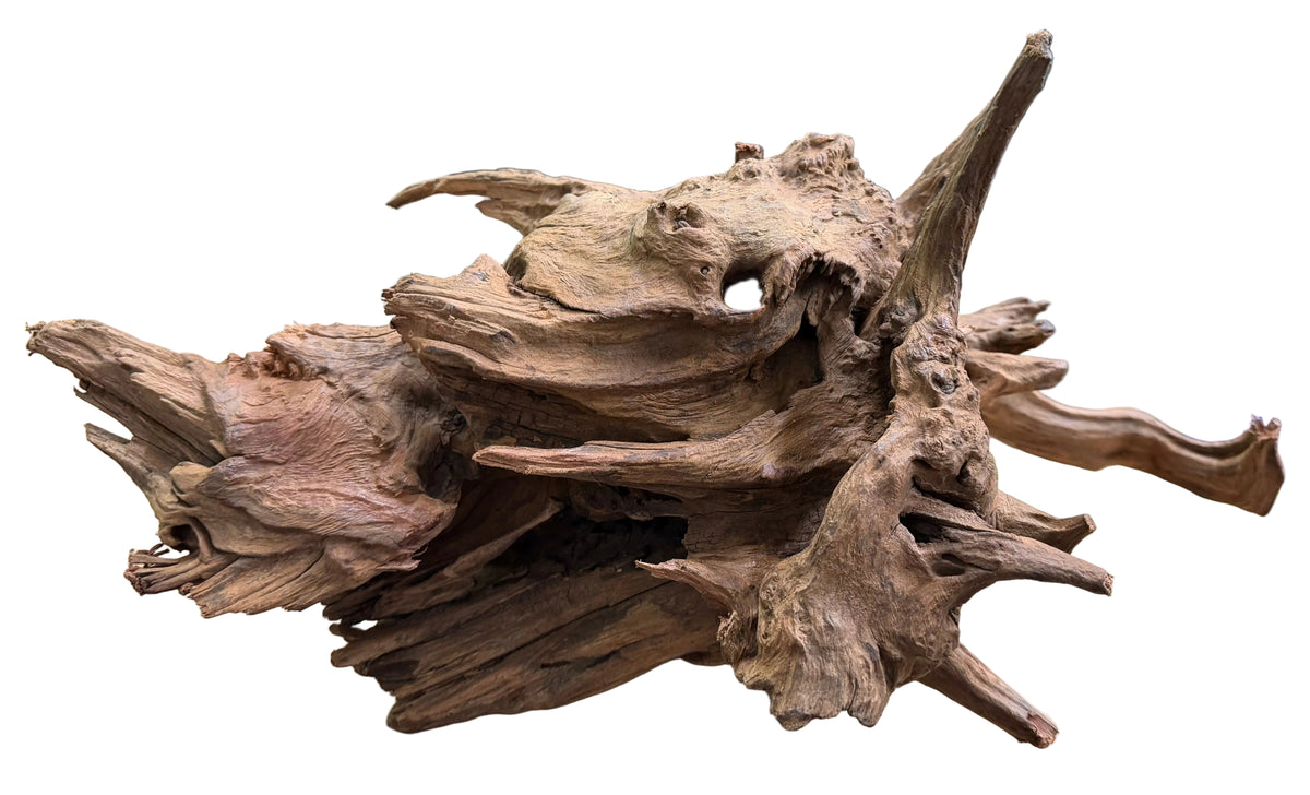  Malaysian Sinking  Driftwood