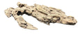 Texture / Shrimp Driftwood