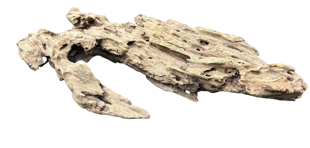Texture / Shrimp Driftwood