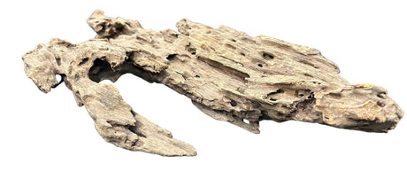 Texture / Shrimp Driftwood
