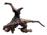 Malaysian Mangrove Sinking Driftwood