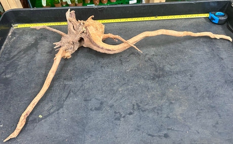 W.Y.S.I.W.Y.G.- 425 - Malaysian Mangrove Wood