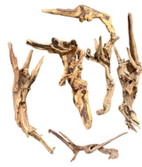 Malaysian Mangrove Sinking Driftwood