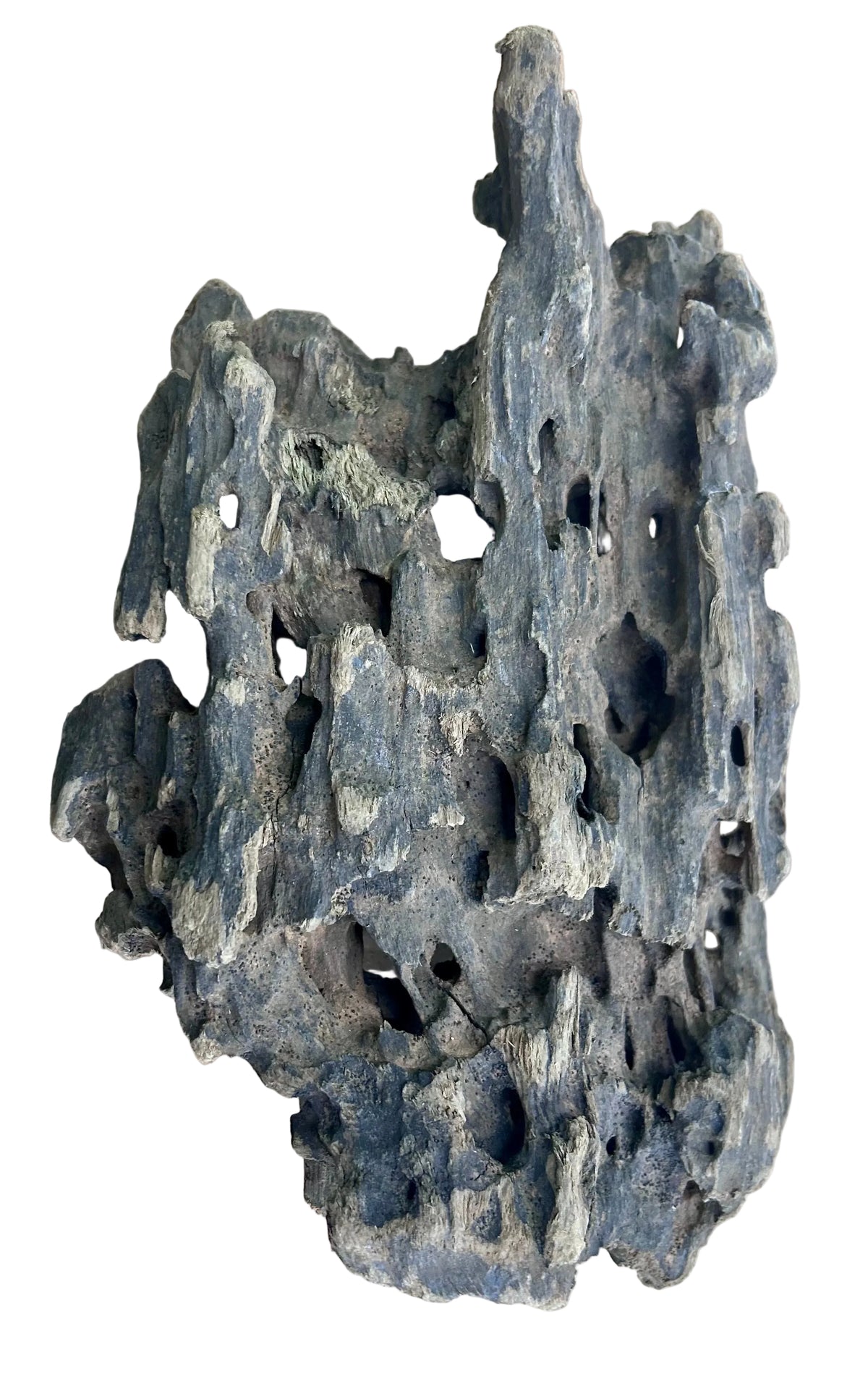 Texture / Shrimp Driftwood