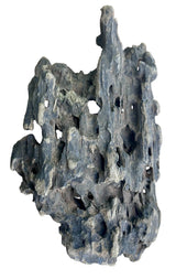 Texture / Shrimp Driftwood
